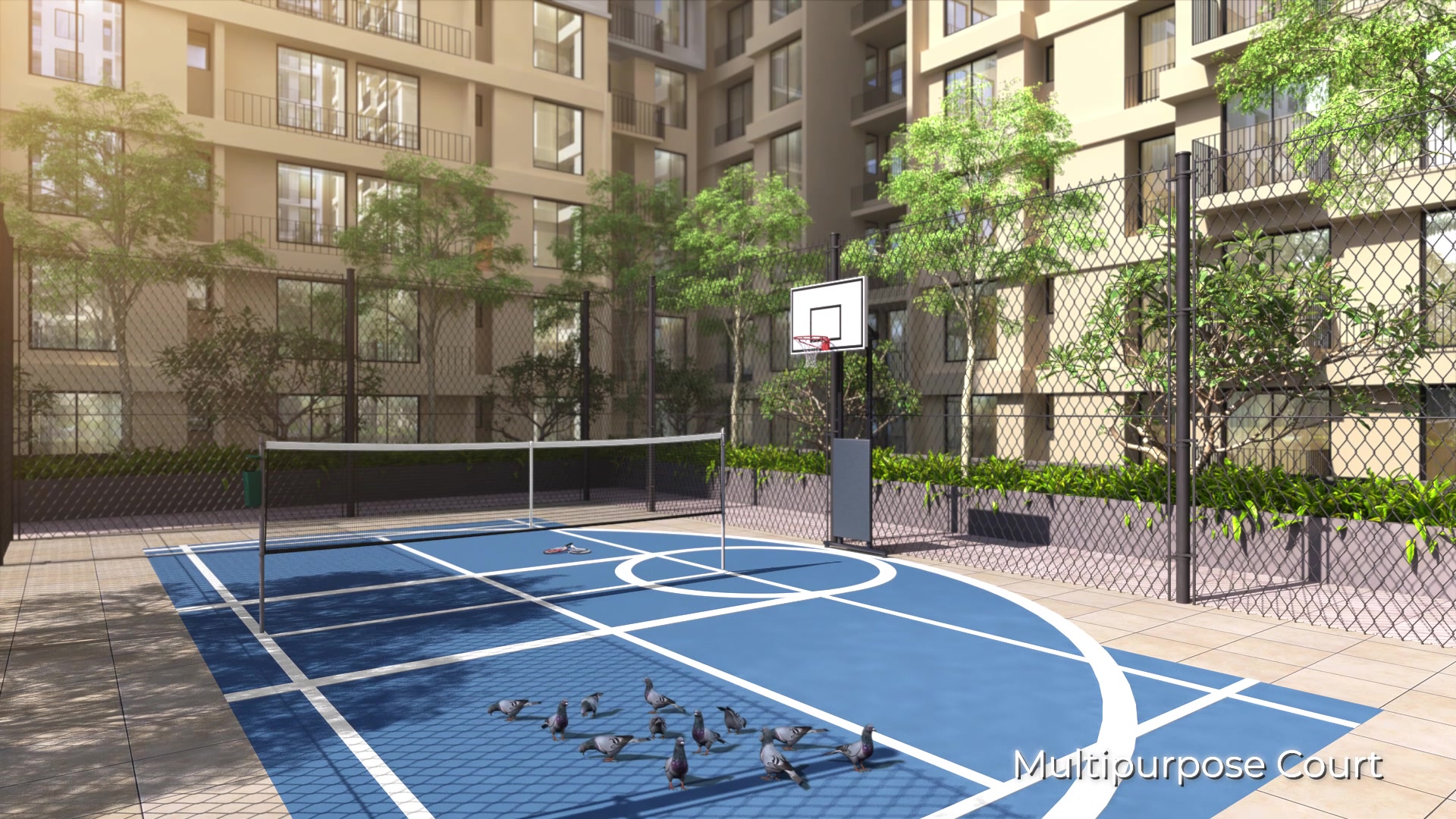 Basketball Court